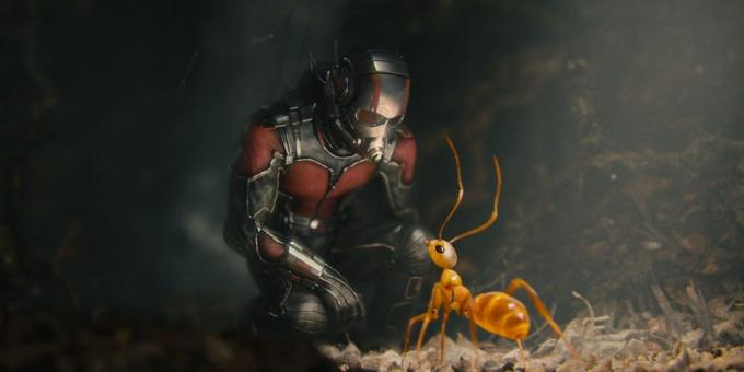 Universe Marvel: Ant-Man