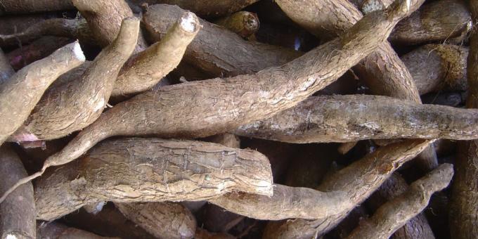 Haitalliset tuotteet: maniokki