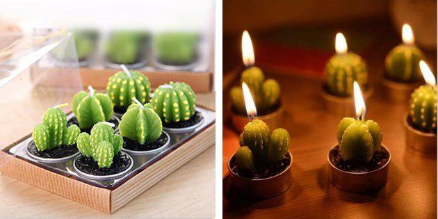 Kynttilät, kaktukset