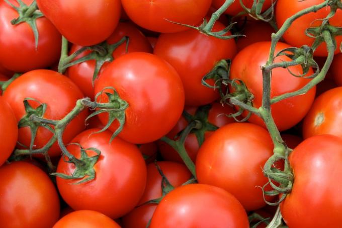 hyödyllisiä tomaateille