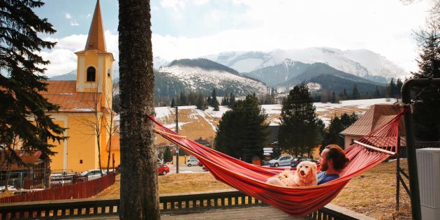 Ginger Monkey, Ždiar, Slovakia