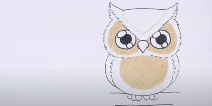 Kuinka piirtää pöllö: luonnos ja maalaa ympyröiden päälle