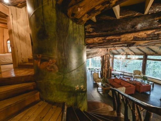 Hotelli Magic Mountain Hotel sijaitsee Chilen suojellut metsät