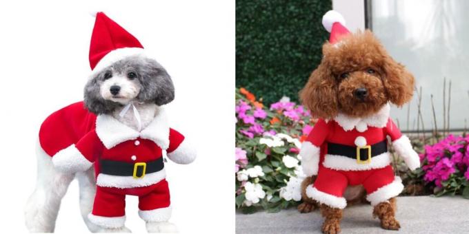Joulun puvut koirille woofing Santa