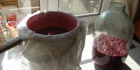 Miten tehdä viiniä punainen, musta ja valkoinen herukat kotona