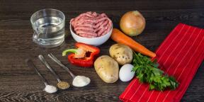 Miten kokki lihapullia: 20 eri vaihtoehtoja