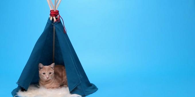 Miten tehdä talon teltta kissa kiskojen ja kangasta käsilläsi