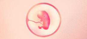 13. raskausviikko: mitä tapahtuu vauvalle ja äidille - Lifehacker