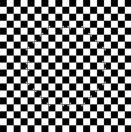 Optisia illuusioita. shakkilauta