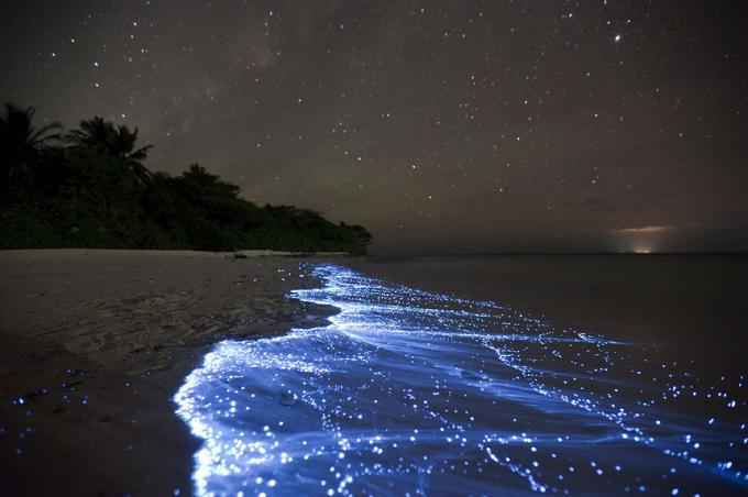 Bioluminescent Beach - Vaadhoo, Malediivit parhaat rannat