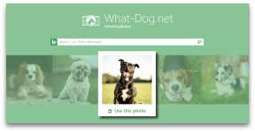 Nouda - innovaatio Microsoftilta, joka noutaa koiran valokuvan
