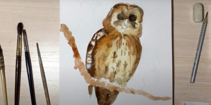 Kuinka piirtää pöllö: maalaa oksan päälle ja tee lintu kirkkaammaksi