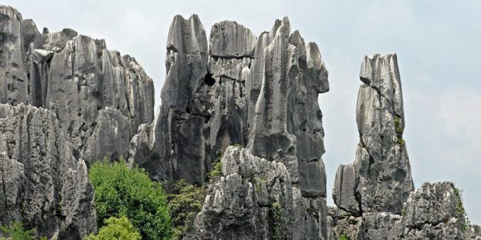 Aasian alueella tietoisesti houkuttelee matkailijoita: Shilin Stone Forest, Kiina