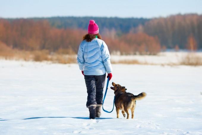 Hyödyllisiä pienikin liikunta