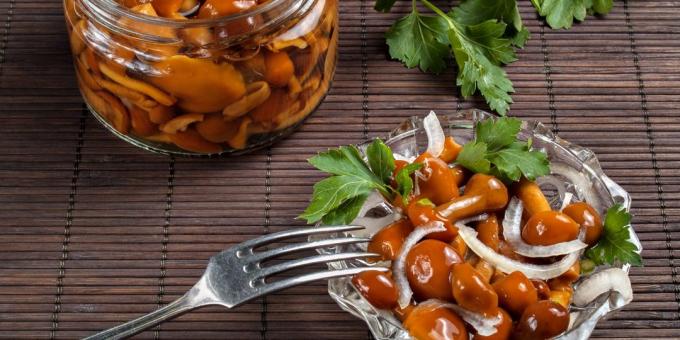 Marinoituja sieniä neilikka ja pippuria: helppo resepti