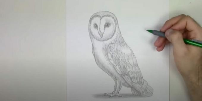 Kuinka piirtää pöllö: lisää pieniä yksityiskohtia