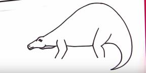 30 tapaa piirtää erilaisia ​​dinosauruksia
