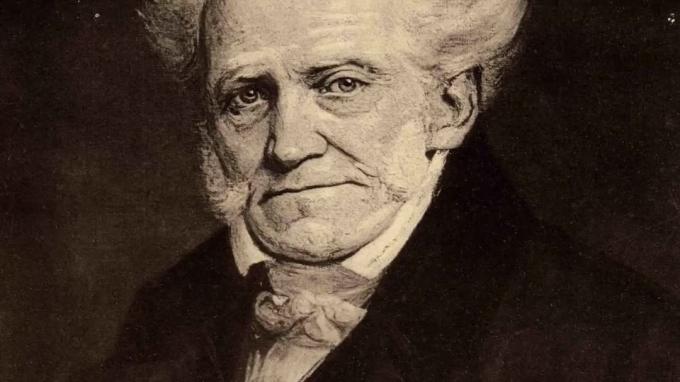 Schopenhauerin 