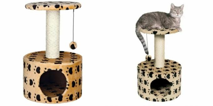 Talot kissoille: lelu ja raapimispuu