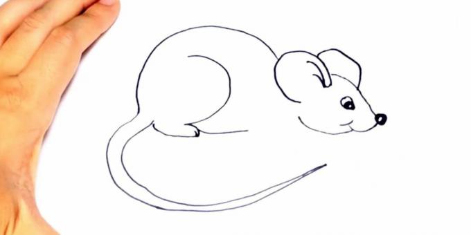 Kuinka piirtää rotta: piirtää tassu ja vatsa
