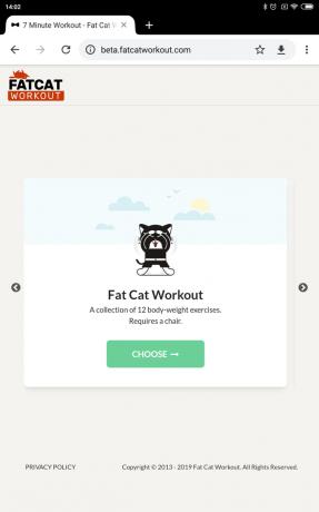 Fat Cat -harjoittelu