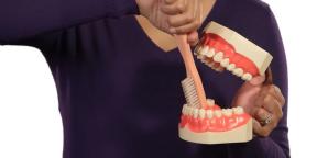 Miten harjata hampaat: tarkimmat ohjeet