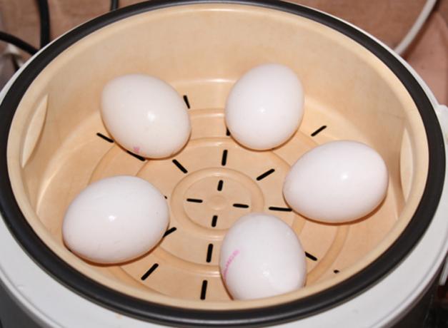 Miten kokki munat kaksinkertaisen kattilan tai multivarka