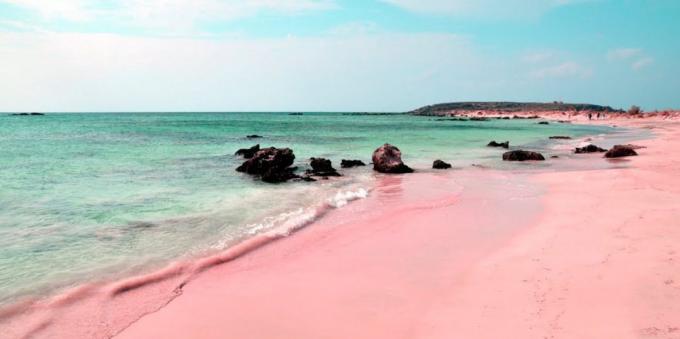 Hämmästyttävän kaunis paikka: vaaleanpunainen ranta Sardiniassa, Italiassa