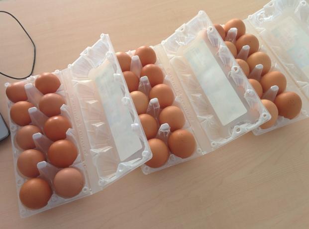 Mitä kannattavampaa ostaa munia