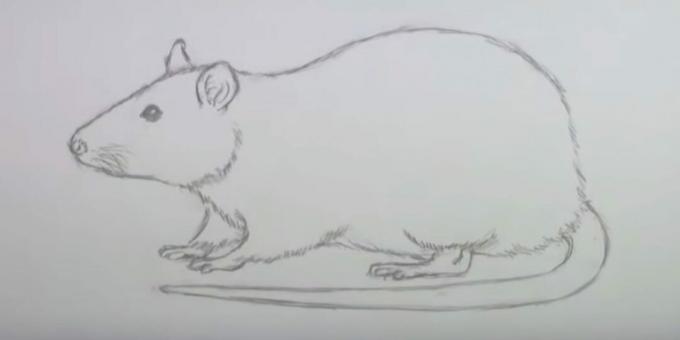 Kuinka piirtää hiiri: poista luonnokset