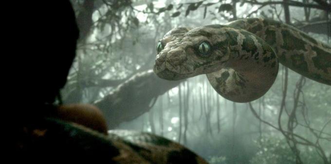 Kuva käärmeitä käsittelevästä elokuvasta "The Jungle Book"