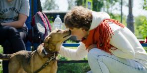 "Pennun nenän työntäminen lätäkkeisiin on haitallisinta neuvoa": haastattelut koiran käyttäytymisen asiantuntijoiden kanssa