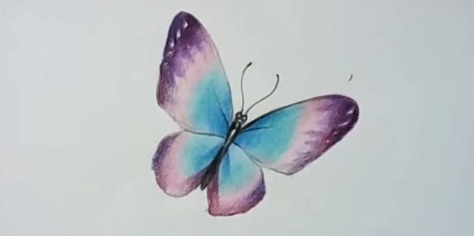 Lisää värikylläisyydestä violetti perhonen siivet