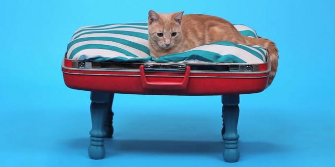 Kuinka tehdä tee-se-itse-kissa sänky matkalaukusta