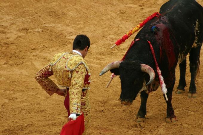 Espanjan härkätaistelu