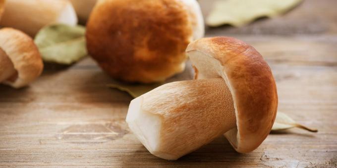 Kuinka ja kuinka paljon kypsennä urospuolisieniä: raakoja porcini-sieniä