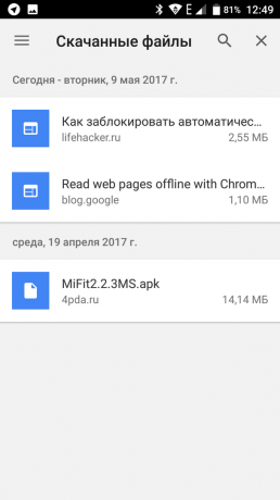 Google Chromen offline-4