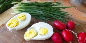Onko turvallista syödä kananmunia, joissa on vikoja?