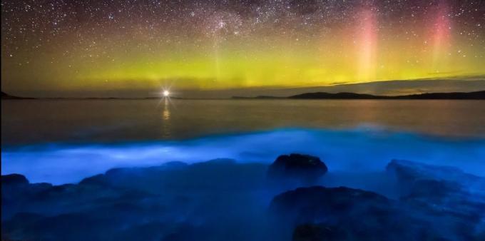 Hämmästyttävän kaunis paikka: bioluminesoivan vedet rannikon Tasmania