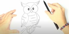 Kuinka piirtää pöllö: 21 helppoa tapaa