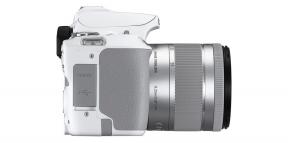 Canon esitteli EOS 250D - erittäin pienikokoinen ja kevyt järjestelmäkamera
