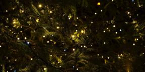 6 Jouluperinteet jotka ovat tulleet meille pakanuuden
