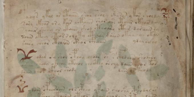 Historian salaisuudet: Voynichin käsikirjoitus
