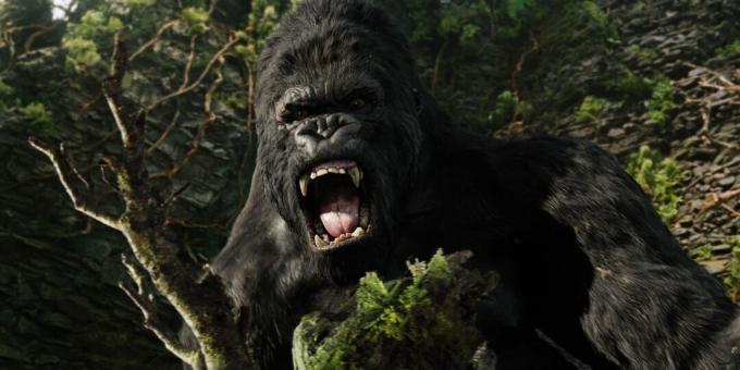Edelleen viidakosta kertovasta elokuvasta "King Kong"