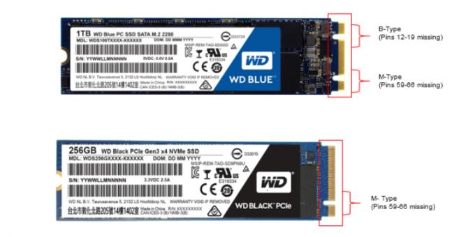 Mikä on parempi SSD: SSD M.2 c-näppäintä B + M (ylempi) ja SSD M.2 keskeisten M (pohja)