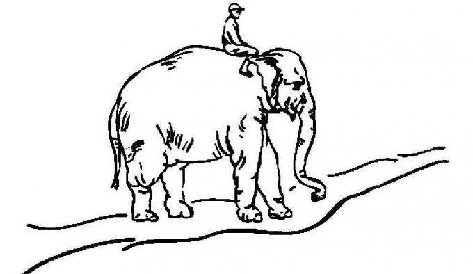 hyviä tapoja: norsu, ratsastaja ja tie