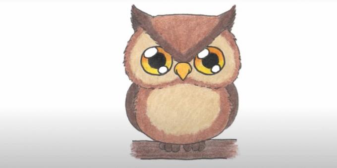 Kuinka piirtää pöllö: maalaa silmien, vartalon ja pään päälle