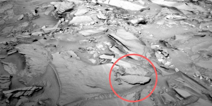 Kuvia tilaa: kivettynyt kala Marsissa