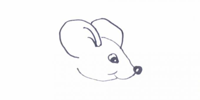 Kuinka piirtää rotta: kuvaa korvat