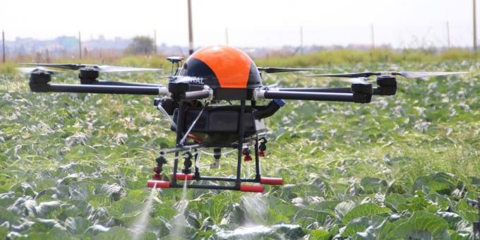 Drone auttaa kasvattaa kasveja